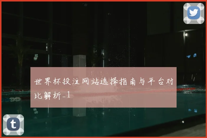世界杯投注网站选择指南与平台对比解析_1