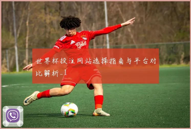 世界杯投注网站选择指南与平台对比解析_1