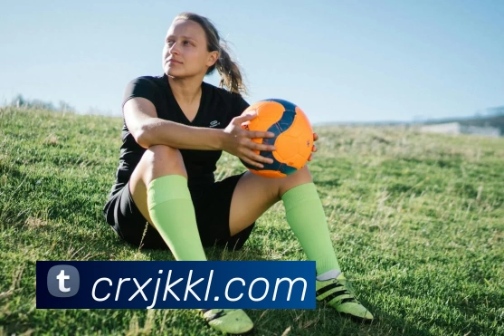 奇异果体育app网站(中国)网页版入口平台生态图